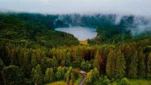 DCIM101MEDIADJI 0339.JPG