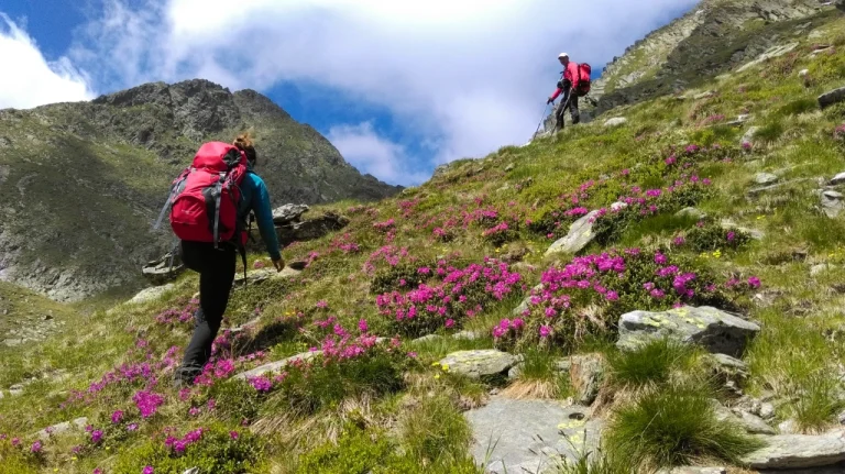 Trasee montane în Munții Făgăraș – Harta drumețiilor pentru toate nivelurile de dificultate