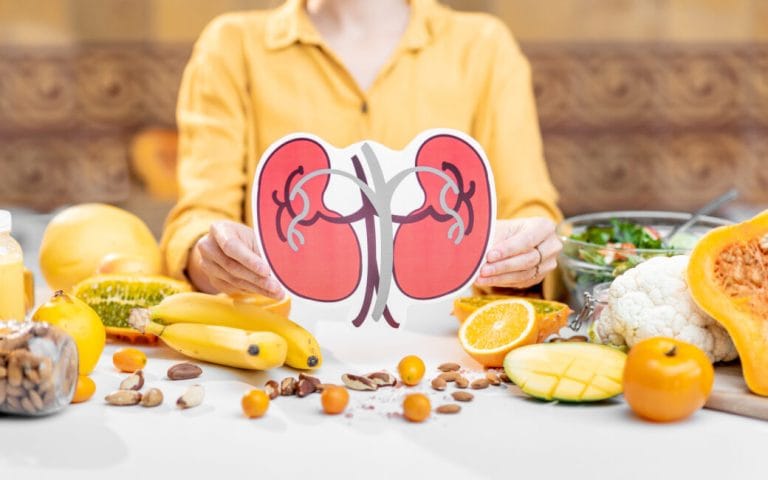 Cum afectează alimentația sănătatea rinichilor Human kidneys model and variety of healthy fresh food