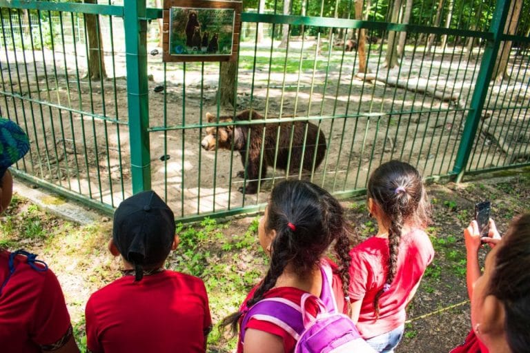 Activități educative în grădinile zoologice naturale: Descoperă cum natura devine o școală vie Activități educative în grădinile zoologice naturale