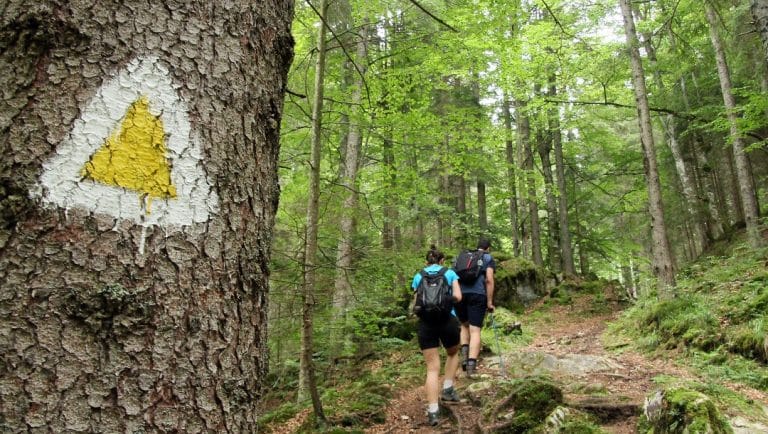 Bucegi, Leaota, Piatra Craiului