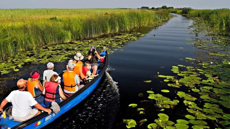 Excursii cu barca în Delta Dunării
