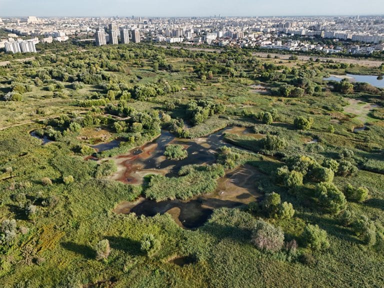 Fotografie de natură în Rezervația Delta Văcărești